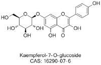 Kaempferol-7-O-glucoside image 1