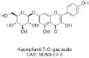 Kaempferol-7-O-glucoside logo