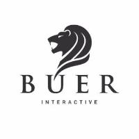 Buer Interactive - Houston Web Design image 1