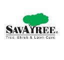 SavATree Tree Service & Lawn Care logo