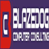 Blazedog Computer Consulting image 2