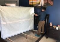 Goodyear Bed Bug Expert image 5