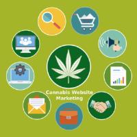Why Cannabis Dispensaries Need Website Marketing image 1