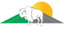 Bison Roofing and Solar logo