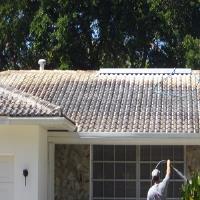Apple Roof Cleaning Of Pasco & Pinellas image 1