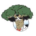 Robin's Tree Service Columbia MO logo