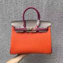 Hermes Birkin Bag Color Blocking Clemence Leather logo
