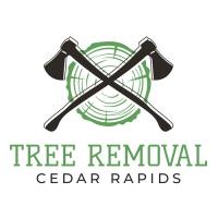 Cedar Rapids Tree Removal image 1