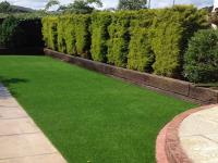 Synthetic Grass Store image 1