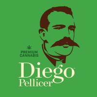 Diego Pellicer image 2