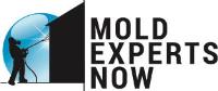 MOLD EXPERTS NOW image 1