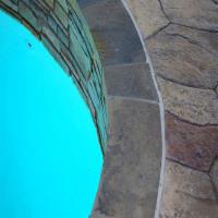 Venice Swimming Pool Leak Detection Pros image 1