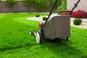 Lawn Care Service by Ed logo