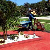 D Gonzalez Landscaping image 3