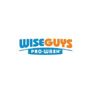 WiseGuys Pro-Wash image 1