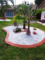 D Gonzalez Landscaping image 1