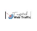 Targeted Web Traffic logo
