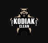 Kodiak Clean Pressure Washing image 1