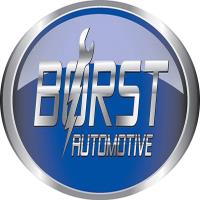 Borst Automotive image 1