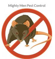 Mighty Men Pest Control image 1
