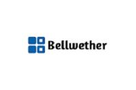 Bellwether Software LLC image 1