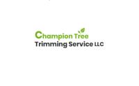 Champion Tree Trimming Service, LLC image 1