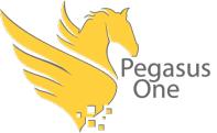 Pegasus One image 1