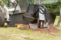 DC Tree Removal Services image 12