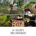 A-1 Allen's Tree Specialist logo