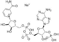 NADP monosodium salt image 1