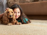 Commercial Carpet Cleaning Services Clinton CT, image 1