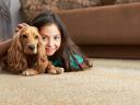 Commercial Carpet Cleaning Services Clinton CT, logo
