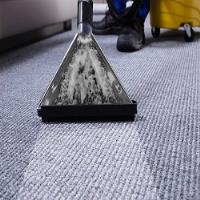 Captain Carpet Cleaners - The Woodlands image 3