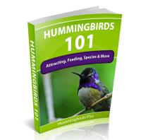 Hummingbird Feeders Plus image 5