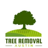 Tree Removal Austin image 1