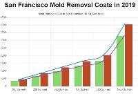 All US Mold Removal San Francisco CA image 2