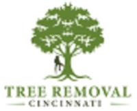 Tree Removal Cincinnati image 1