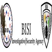 Bisi Security image 1