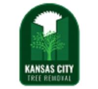 Kansas City Tree Removal image 1