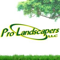 Pro Landscapers LLC image 1