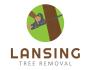 Lansing Tree Removal image 1