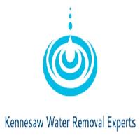 Kennesaw Water Removal Experts image 1