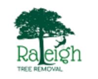 Raleigh Tree Removal image 1