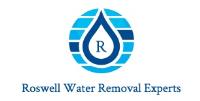 Roswell Water Removal Experts image 1