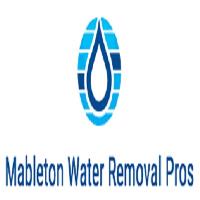 Mableton Water Removal Pros image 1