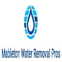 Mableton Water Removal Pros logo