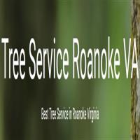 Tree Service Roanoke image 1