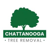 Chattanooga Tree Removal image 1