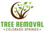 Colorado Springs Tree Removal image 1