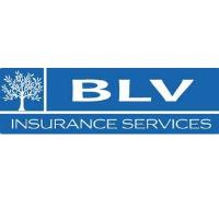 BLV Insurance Services image 1